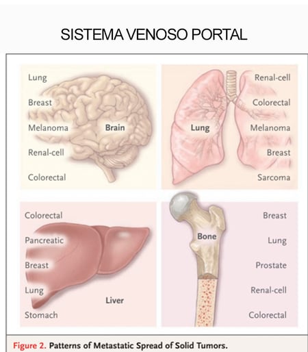 telerad_sistema_venoso_portal